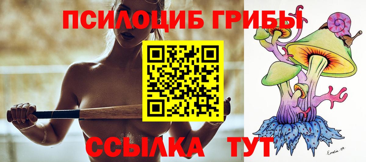 Астрахань  Галлюциногенные грибы Psilocybine cubensis  Галлюциногенные грибы мухоморы  Вход с VPN 