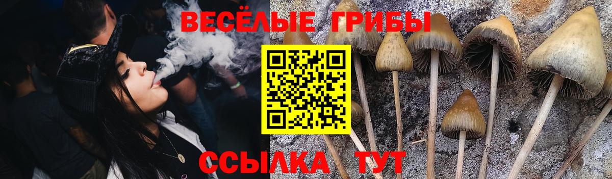 Галлюциногенные грибы мухоморы Астрахань